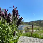 Stodola Nad Skawa