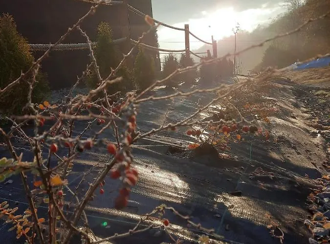 Stodola Nad Skawa 贝斯基德地区苏哈