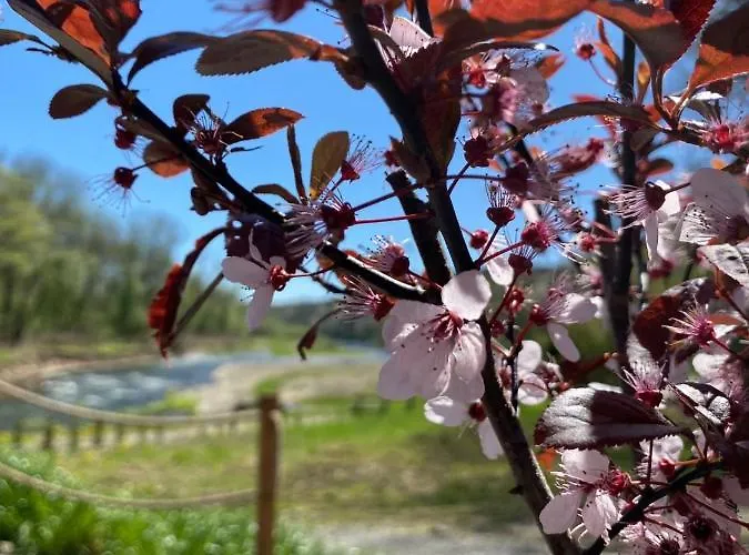 Stodola Nad Skawa 度假居 贝斯基德地区苏哈